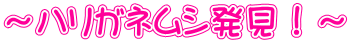 `nKlVI`