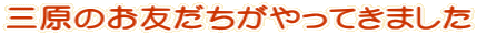 �O���̂��F����������Ă��܂���