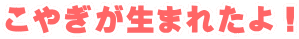 ���€�����܂ꂽ��I