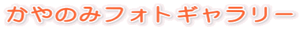 ����̂݃t�H�g�M�������[